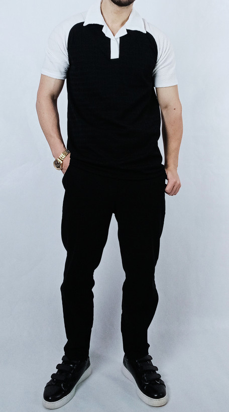 تیشرت آستین کوتاه مردانه خنک پارچه الکسی یقه انگلیسی در رنگبندی متنوع