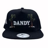 کلاه کپ کرم بک فیت مدل DANDY