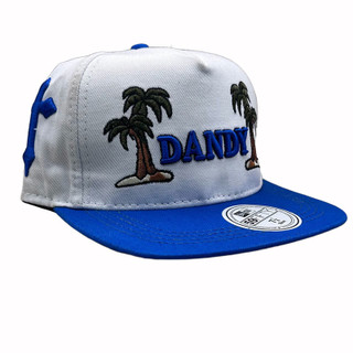 کلاه کپ سفید بک فیت مدل DANDY